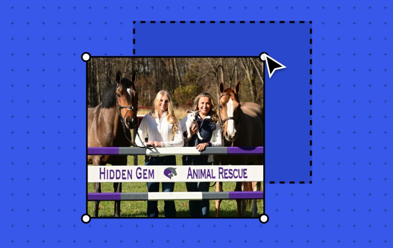 Murphy Levesque Co-Founded an Animal Rescue at 11. Her WordPress.com Site Helped Save Over 100&nbsp;Animals.